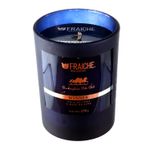 1030126-vela-aromatica-polo-winner-250g-4
