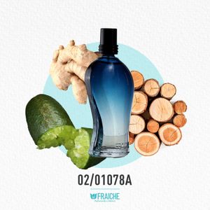 PERFUME CABALLERO AL 33% HJPG LEMA 02/00078A PERSEO 060ML
