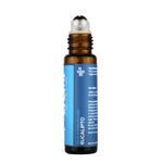 1028442-acea-single-eucalipto-10ml-2