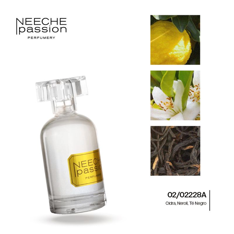 1034643-perfume-caballero-imaginacion-niche-02-02228a-jneeche-100ml-s-15-al-33