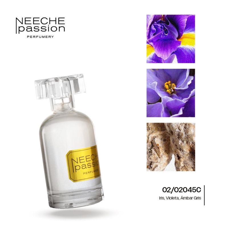 1034642-perfume-caballero-iris-man-02-02045c-jneeche-100ml-s-15-al-33