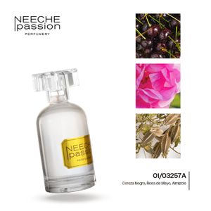 PERFUME DAMA CARMITA NICHE 01/03257A JNEECHE 100ML S 15 AL 33%