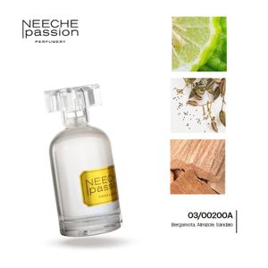 PERFUME UNISEX SHANDAL 03/00200A JNEECHE 100ML S 15 AL 33%