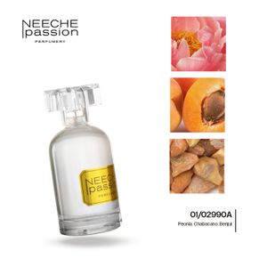 PERFUME UNISEX TOHUI PUPPY 01/02990A JNEECHE 100ML S 15 AL 33%