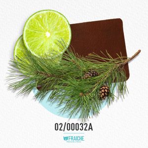 HCARL COR CARLO - Perfume al 33%