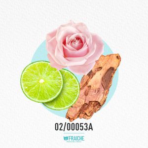 HGIO A EMPO A - Perfume al 33%