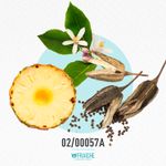 02-00057a-hcalk-eterni