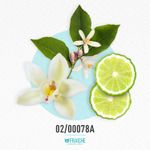 02-00078a-hjpg-lema