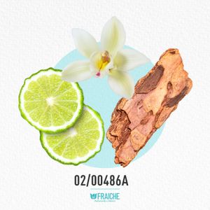 HHOLLIS - Perfume al 33%
