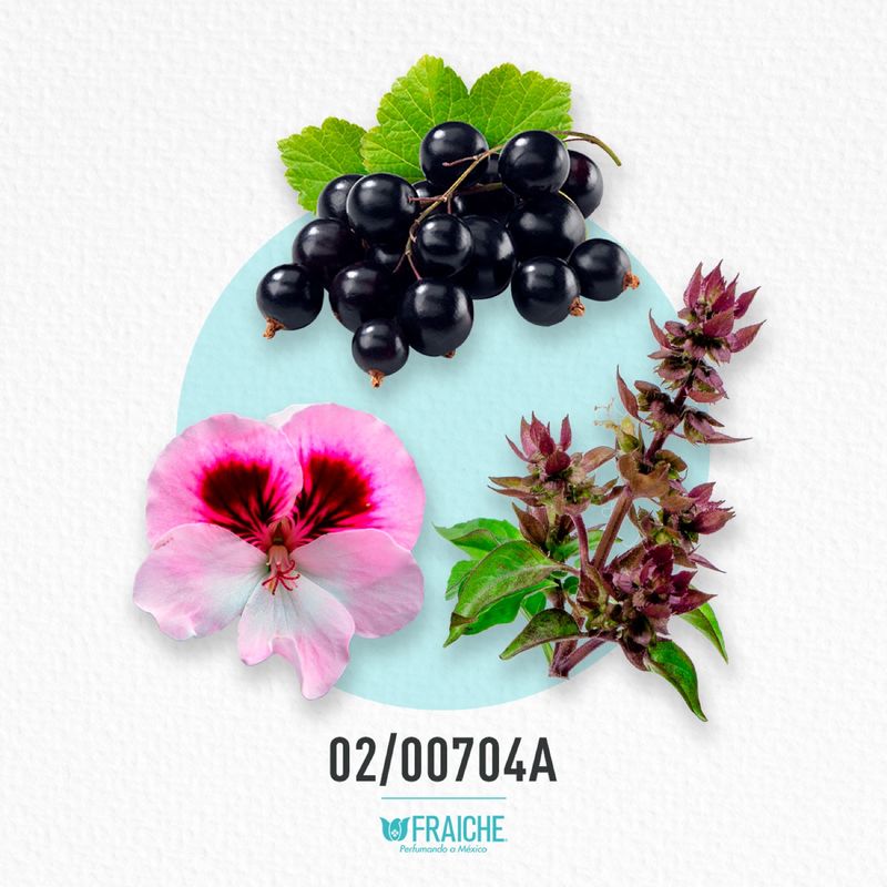 02-00704a-hysl-opiu