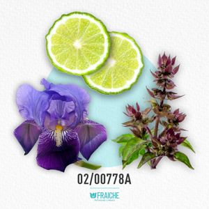 HERMENE ZEGNA - Perfume al 33%