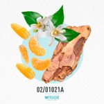 02-01021a-hgucc1-guilty
