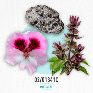 HCHRIS SAUVAG - Perfume al 33%