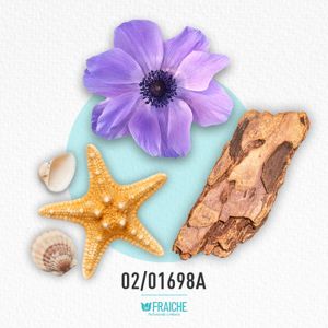 HVICX STEEL A - Perfume al 33%