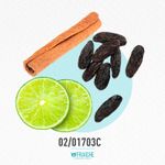 02-01703c-hhallow-x-jp