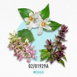 02-01929a-hherm-24
