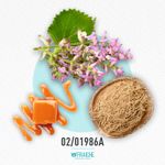 02-01986a-hjpg-scanda