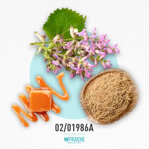 HJPG SCANDA - Perfume al 33%