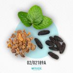 02-02189a-hjpg-lema-elixir