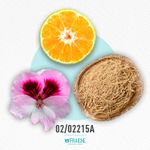 02-02215a-hgio-a-aqugiparfum