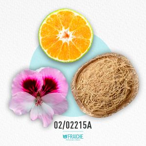 HGIO A AQUGIPARFUM - Perfume al 33%