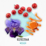 02-02256a-hprad-luna-ros-oce