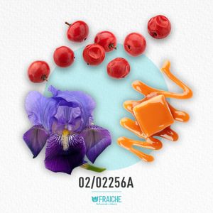 HPRAD LUNA ROS OCE - Perfume al 33%