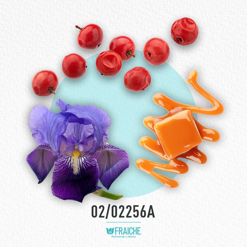 02-02256a-hprad-luna-ros-oce