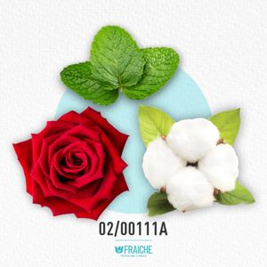 HTH TOM - Agua de Perfume al 25%