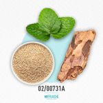 02-00731a-hgiv-virresistible