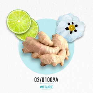 HCHAN BLEU - Agua de Perfume al 25%