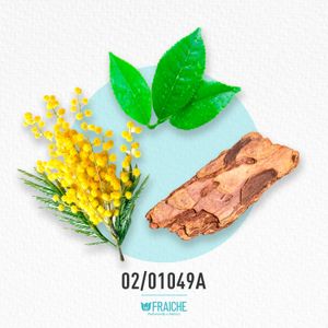 HNAU VOYAGE - Agua de Perfume al 25%