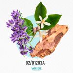 02-01203a-hgucc1-guiltyblack