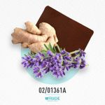 02-01361a-hhb-bos1-the-scent