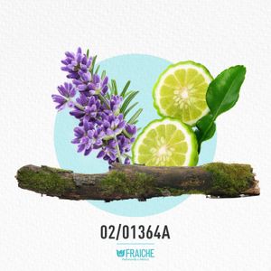 HMONT LEGEND SPI - Agua de Perfume al 25%
