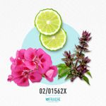 02-01562x-hgio-a-aqugi-abso