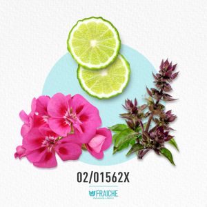 HGIO A AQUGI ABSO - Agua de Perfume al 25%