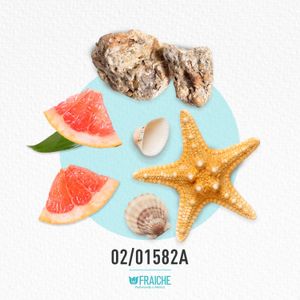 HPR INVIC AQUA - Agua de Perfume al 25%