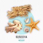 02-02231a-him-leau-dis-vetiv