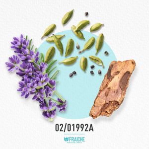 HYSL ELECTRIBLEU - Agua de Colonia al 17%