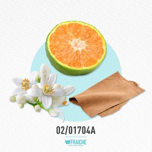HGIOARMA CODEABSOL - Agua de Colonia al 17%