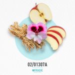 02-01307a-hhb-bos1-botl-int