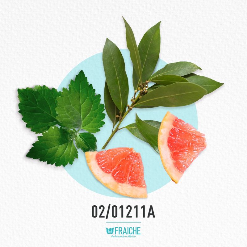 02-01211a-hpr-invic