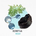 02-00714a-hgues1