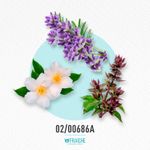 02-00686a-hcalk-obsess