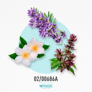 HCALK OBSESS - Agua de Colonia al 17%