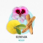 02-00140a-him-leau-dis