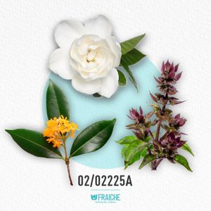 HARMF CLUB DE NUIT - Agua de Perfume al 25%
