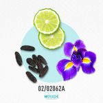 02-02062a-hgio-armcode
