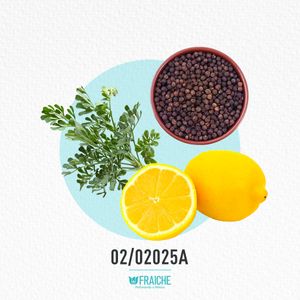HCOA BLUE1 CO - Agua de Perfume al 25%